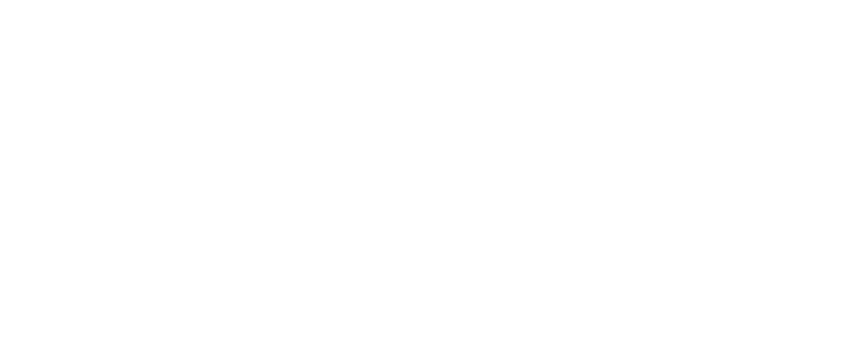 devie medical GmbH